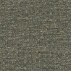 Notion Crypton Upholstery Fabric